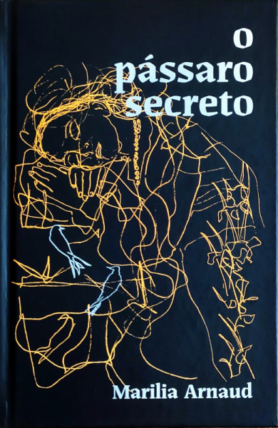 Capa de O passáro secreto - Marilia Arnaud