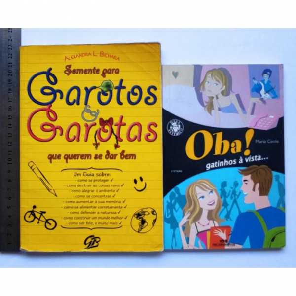 Capa de Garotos e garotas que querem se dar bem - Alexandra Lopes Bichara