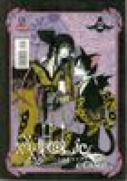 Capa de xxx Holic volume 2 - CLAMP