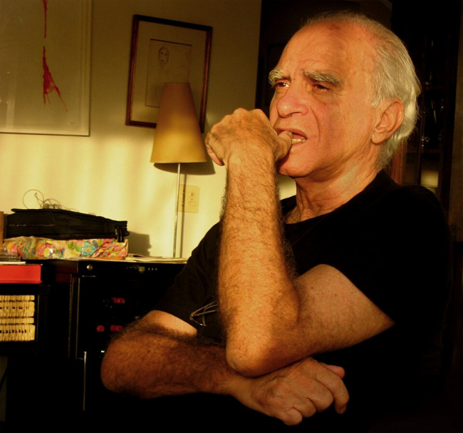Foto de Ignácio de Loyola Brandão